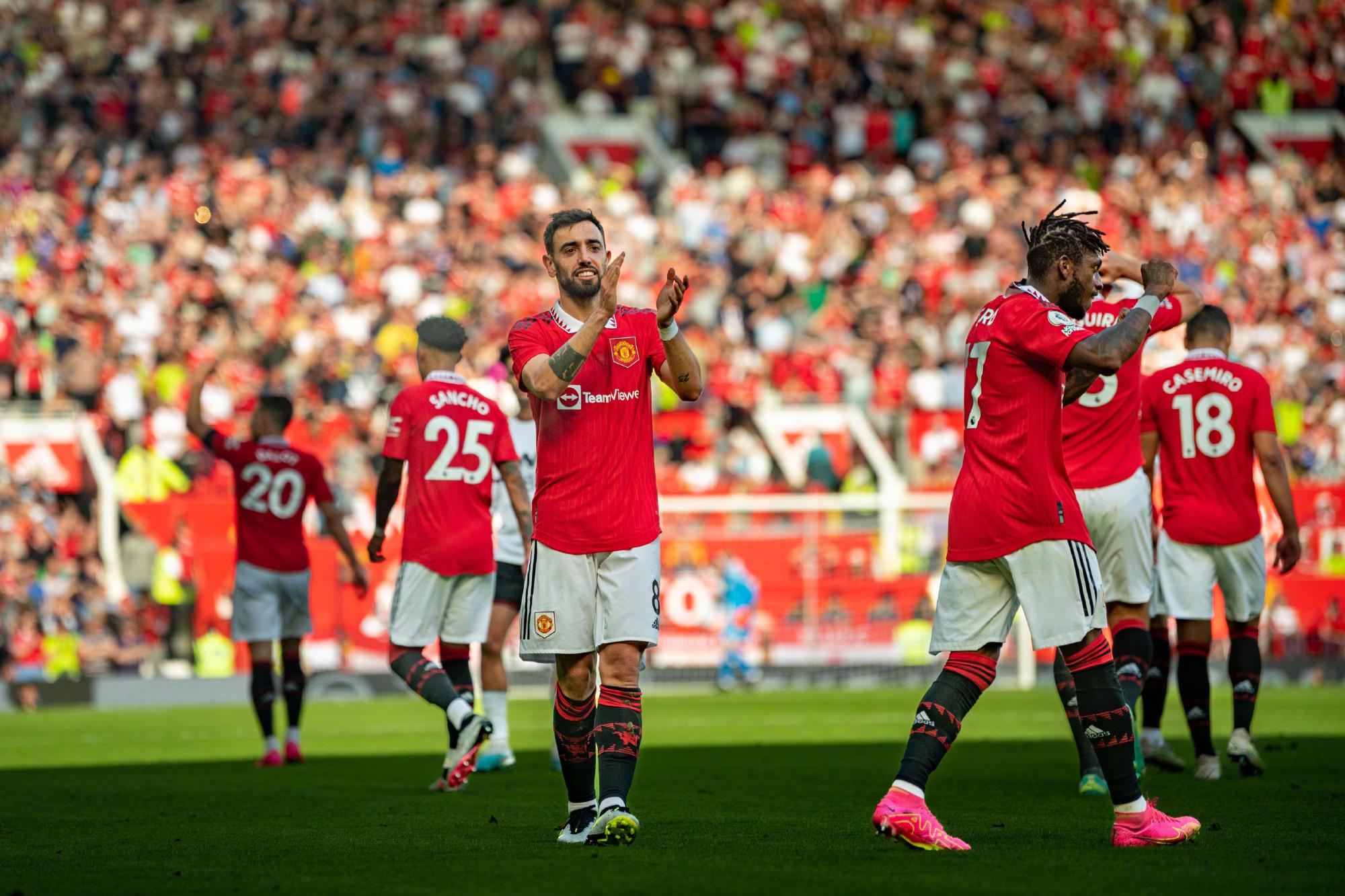 到合适的替 到合适的替